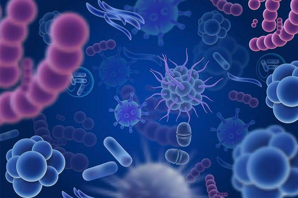 Can Microbes Treat Diseases?